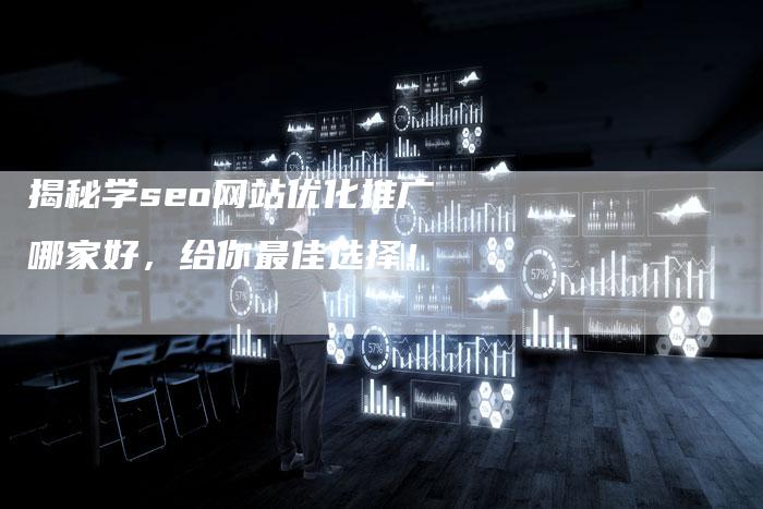 揭秘学seo网站优化推广哪家好，给你最佳选择！