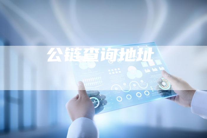 公链查询地址