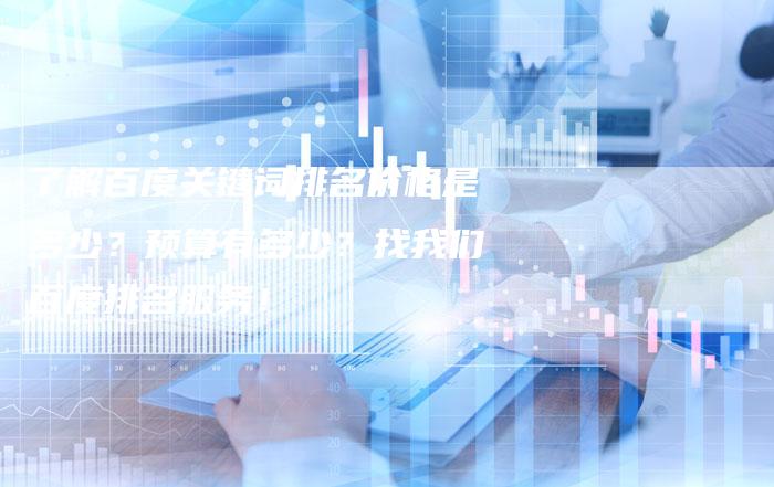 了解百度关键词排名价格是多少？预算有多少？找我们百度排名服务！