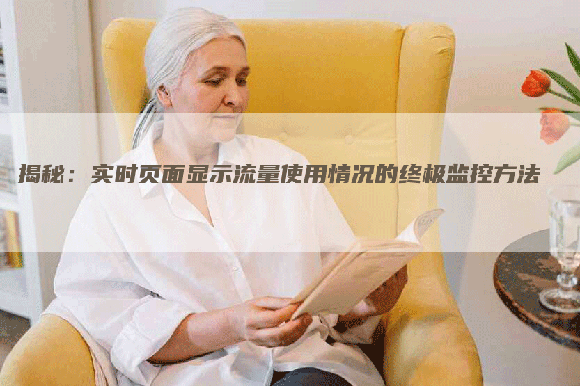 揭秘：实时页面显示流量使用情况的终极监控方法