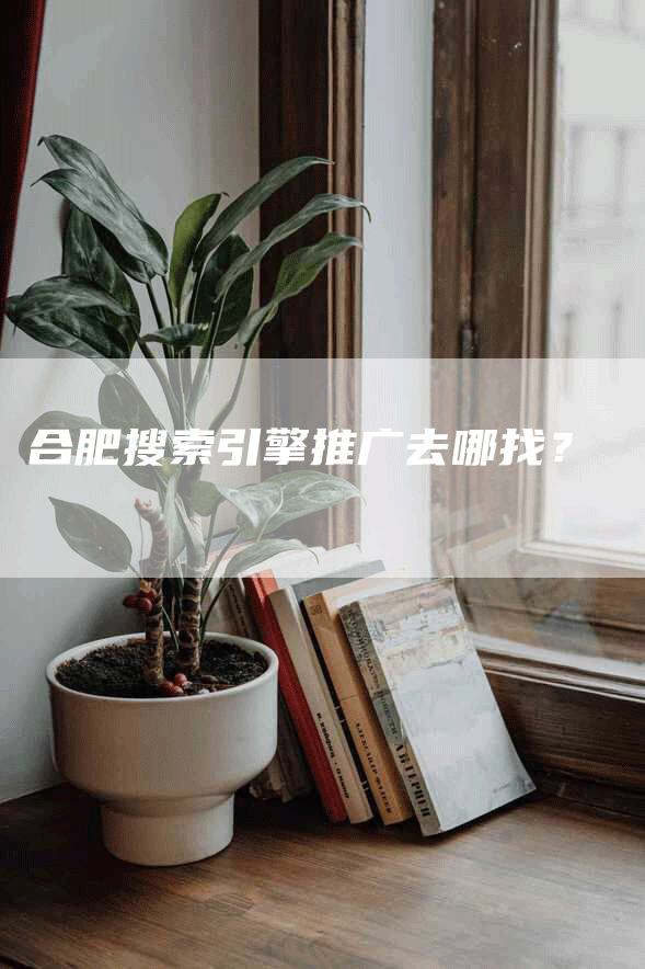合肥搜索引擎推广去哪找？