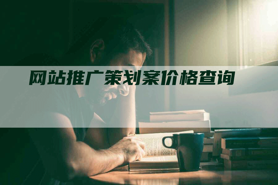 网站推广策划案价格查询