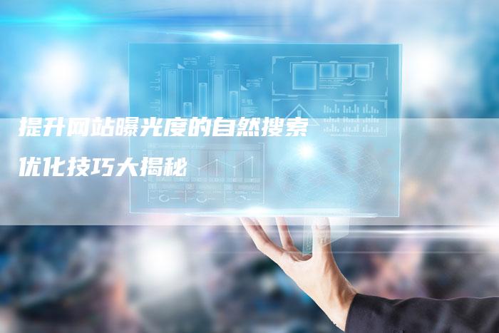 提升网站曝光度的自然搜索优化技巧大揭秘