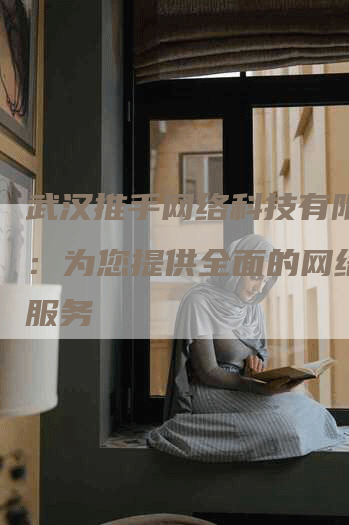 武汉推手网络科技有限公司：为您提供全面的网络推广服务