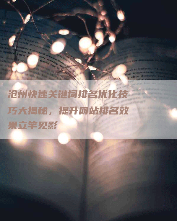 沧州快速关键词排名优化技巧大揭秘，提升网站排名效果立竿见影