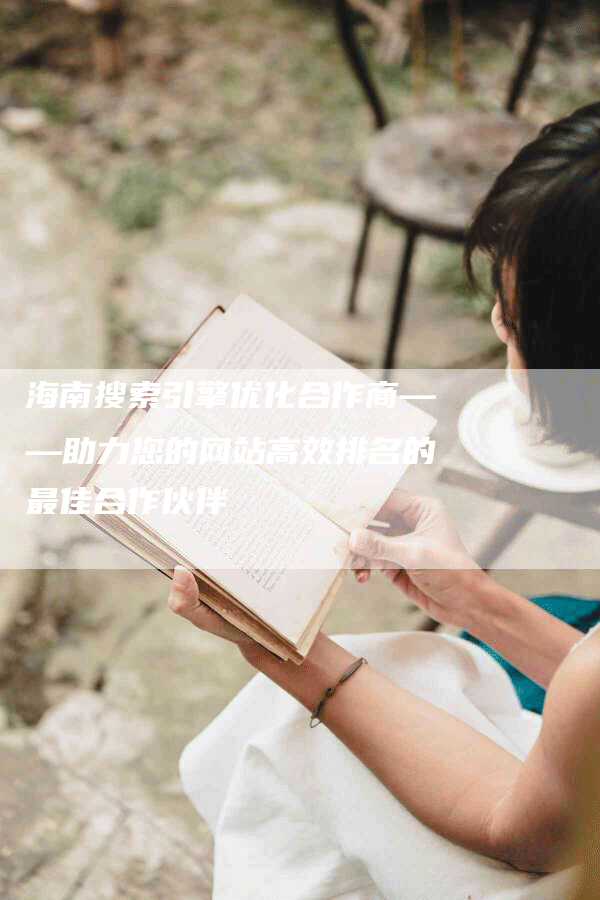 海南搜索引擎优化合作商——助力您的网站高效排名的最佳合作伙伴