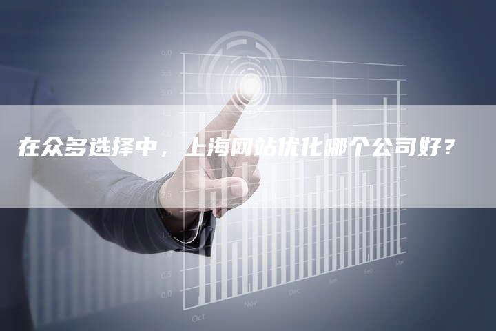 在众多选择中，上海网站优化哪个公司好？