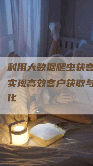 利用大数据爬虫获客策略，实现高效客户获取与销售转化