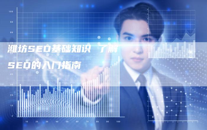 潍坊SEO基础知识 了解SEO的入门指南