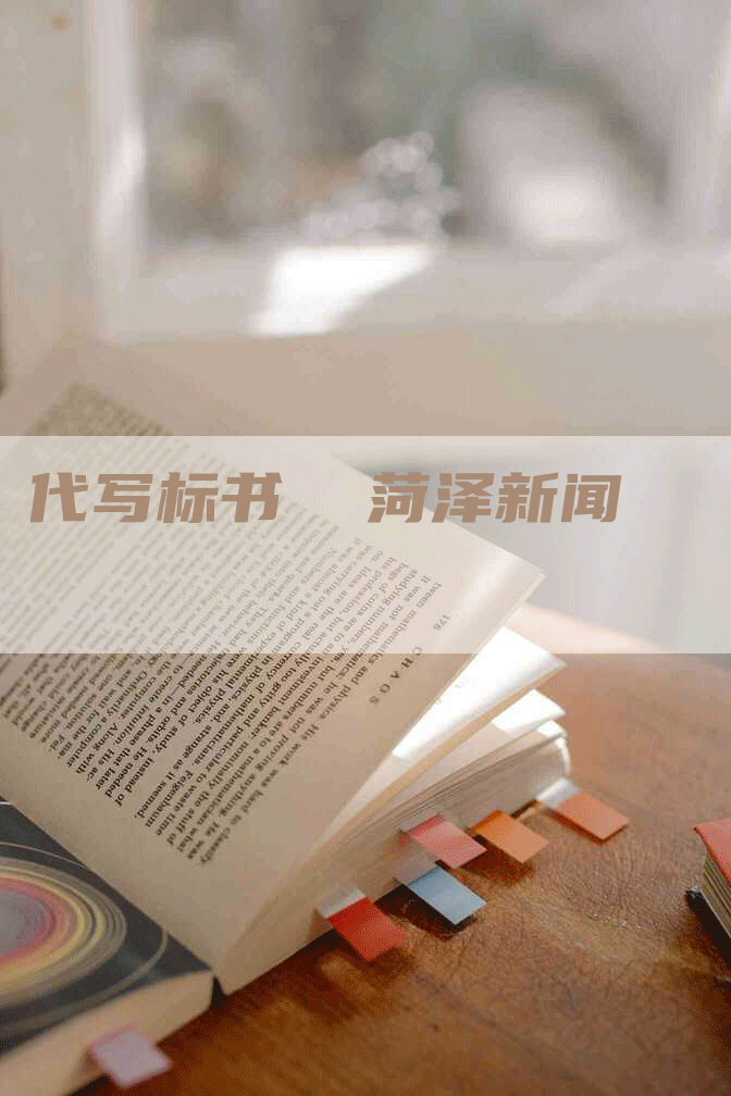 代写标书  菏泽新闻