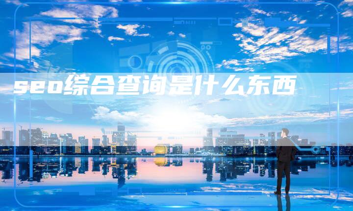 seo综合查询是什么东西