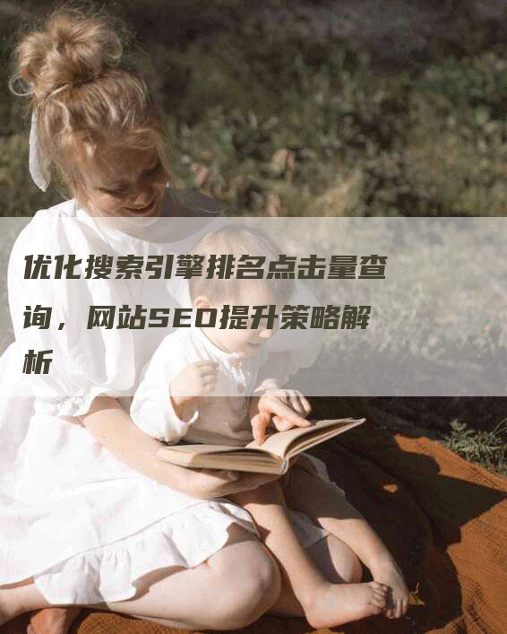 优化搜索引擎排名点击量查询，网站SEO提升策略解析