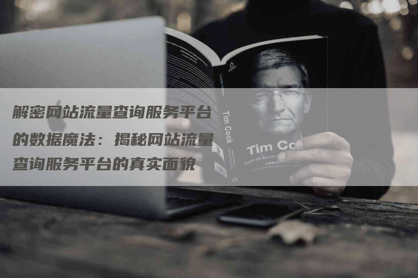 解密网站流量查询服务平台的数据魔法：揭秘网站流量查询服务平台的真实面貌