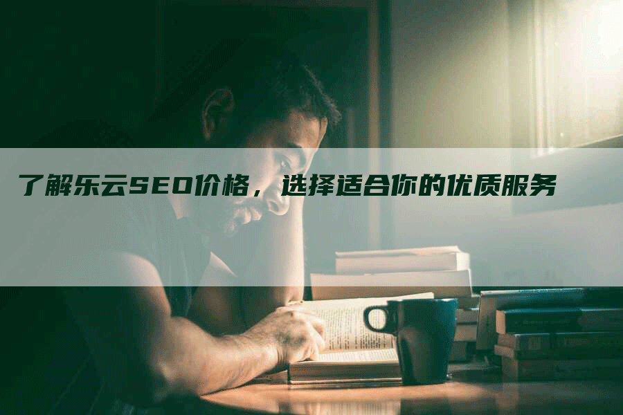 了解乐云SEO价格，选择适合你的优质服务