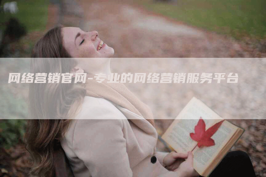 网络营销官网-专业的网络营销服务平台
