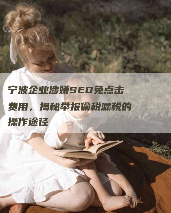 宁波企业涉嫌SEO免点击费用，揭秘举报偷税漏税的操作途径