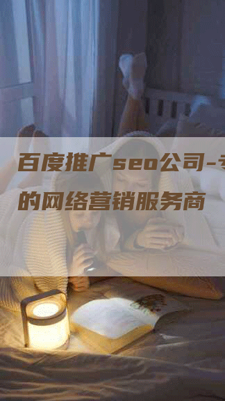 百度推广seo公司-专业的网络营销服务商