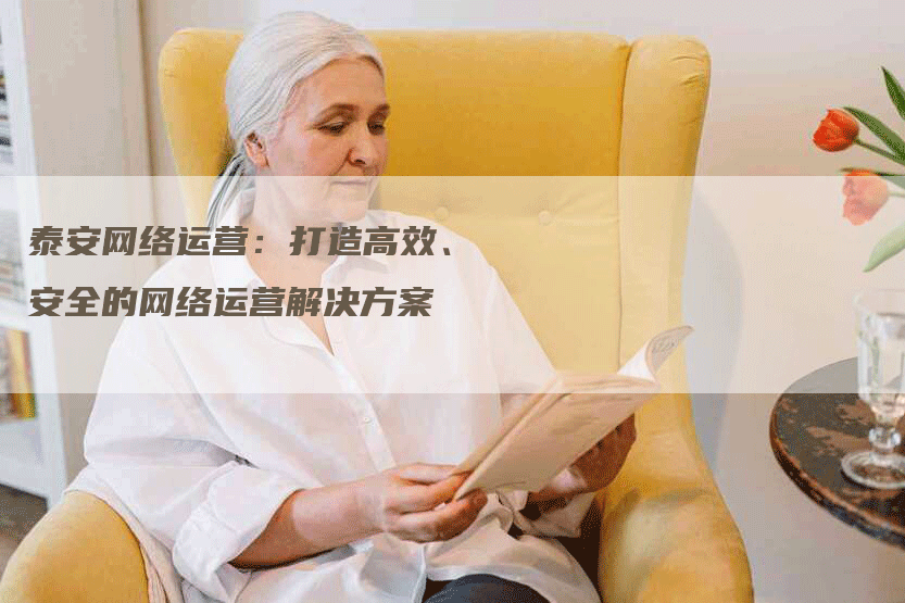 泰安网络运营：打造高效、安全的网络运营解决方案