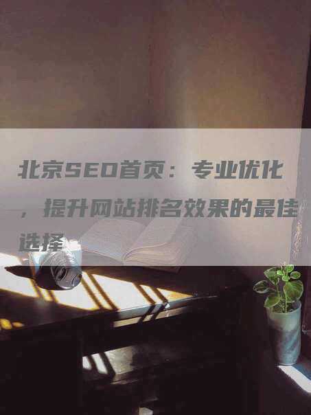 北京SEO首页：专业优化，提升网站排名效果的最佳选择