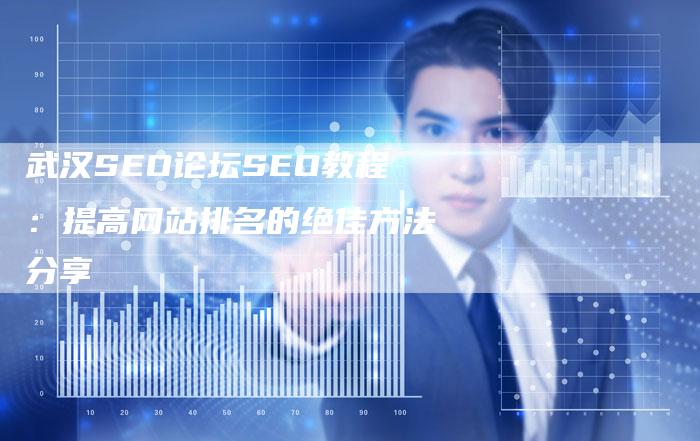 武汉SEO论坛SEO教程：提高网站排名的绝佳方法分享