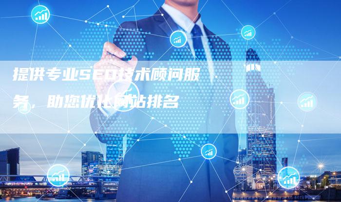 提供专业SEO技术顾问服务，助您优化网站排名