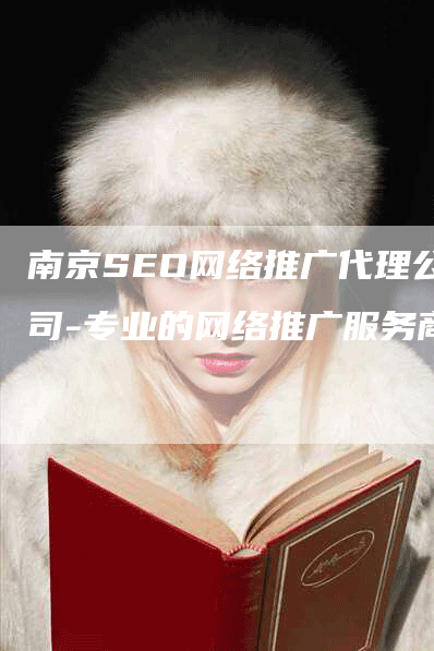 南京SEO网络推广代理公司-专业的网络推广服务商